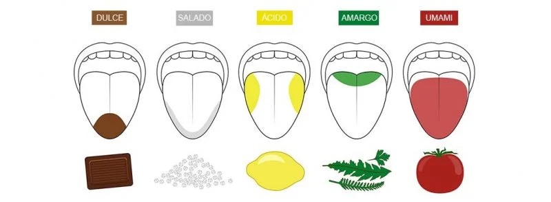 tipos de sabores